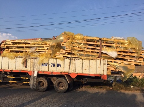 Pallet gỗ 2 hướng nâng